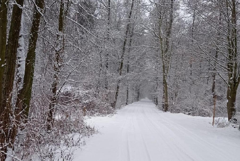 Basiowka Nad Jeziorem Holiday home Boszkowo
